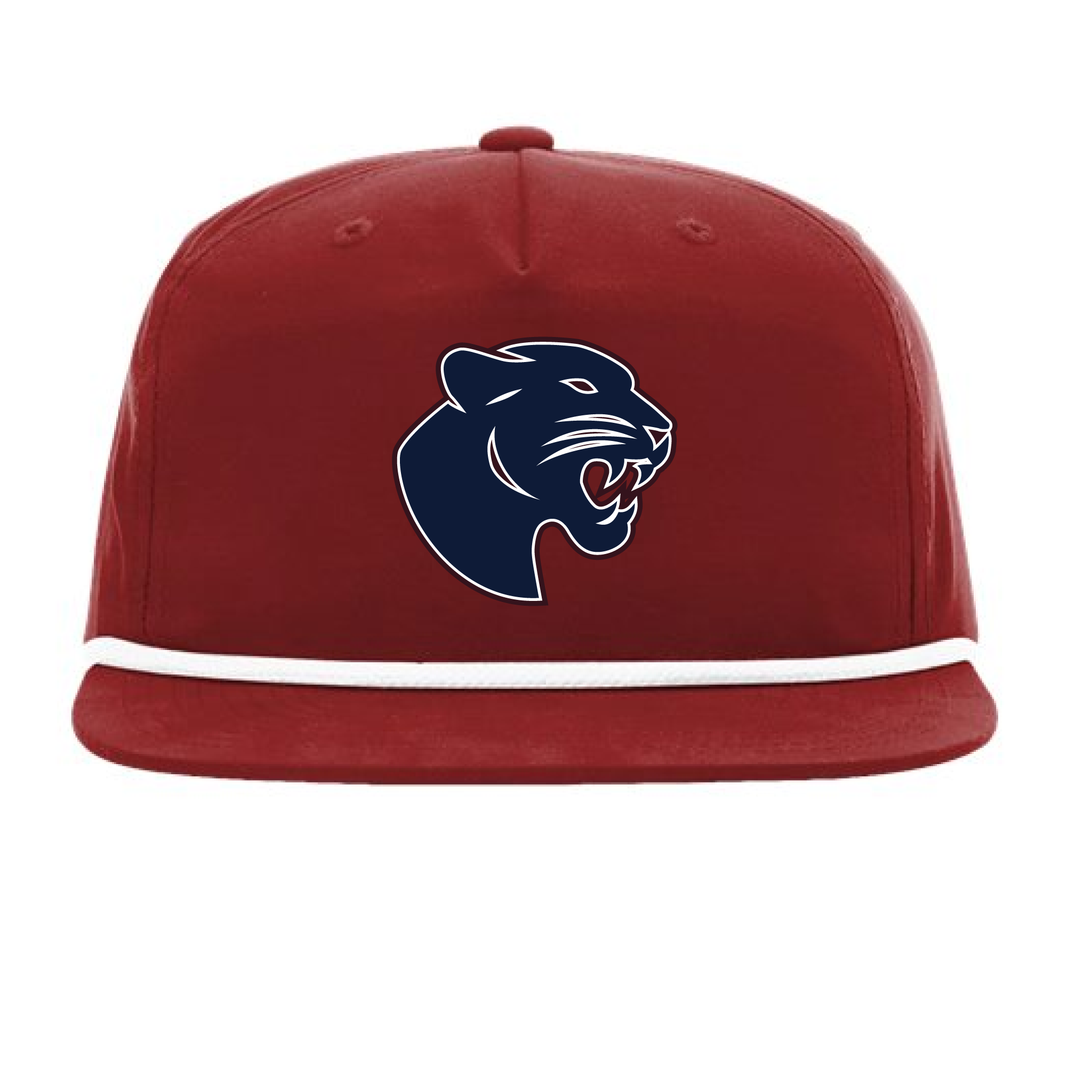 Panthers Richardson Snapback Cap